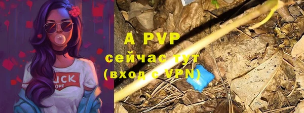 a pvp Баксан