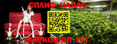 бошки Будённовск
