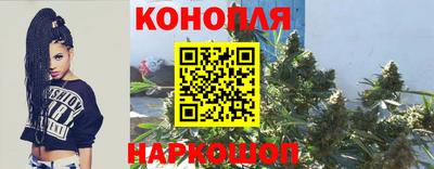 бошки Будённовск