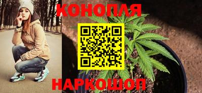 бошки Будённовск