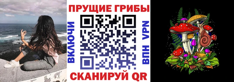 Галлюциногенные грибы Cubensis  купить наркоту  Гудермес 