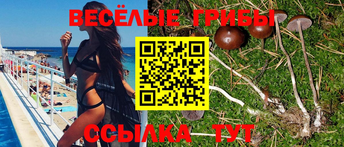 Галлюциногенные грибы Magic Shrooms Гудермес