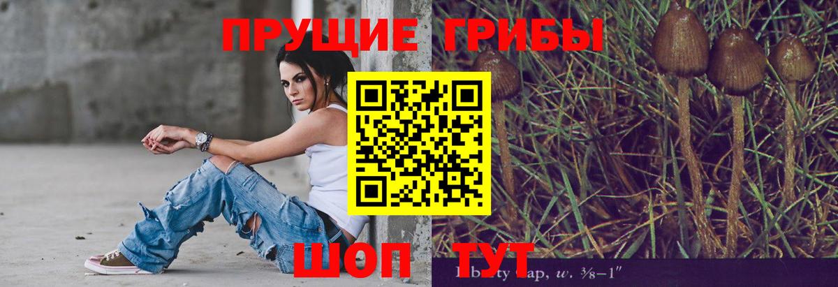 Гудермес  Галлюциногенные грибы Cubensis  Вход с VPN 